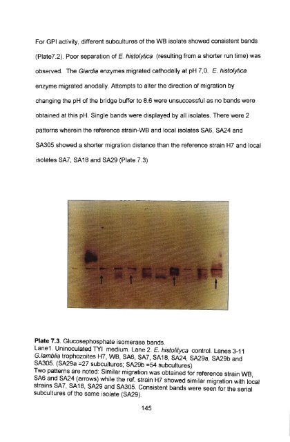 in vitro culture and isoenzyme analysis of giardia lamblia