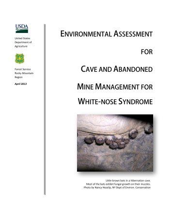 environmental assessment for cave and abandoned - USDA Forest ...