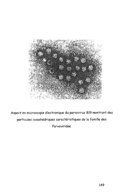 4 - Bibliothèques de l'Université de Lorraine