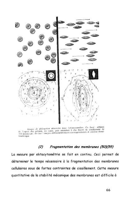 4 - Bibliothèques de l'Université de Lorraine