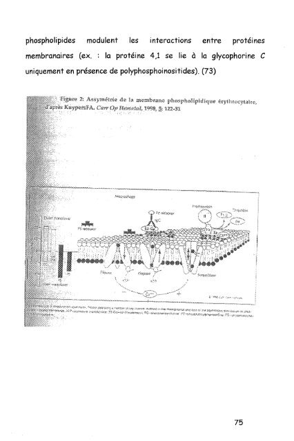 4 - Bibliothèques de l'Université de Lorraine