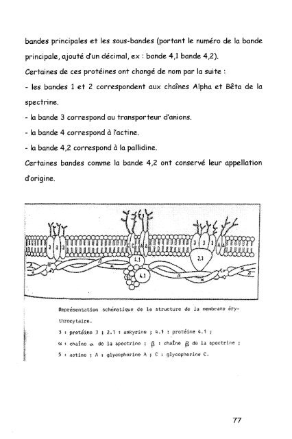 4 - Bibliothèques de l'Université de Lorraine