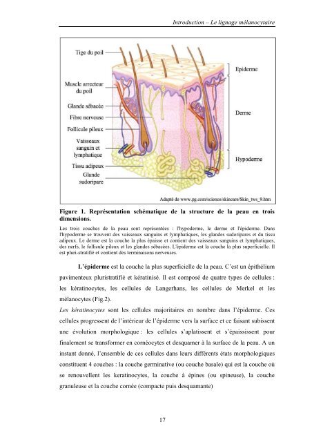 Remerciements - Bibliothèques de l'Université de Lorraine