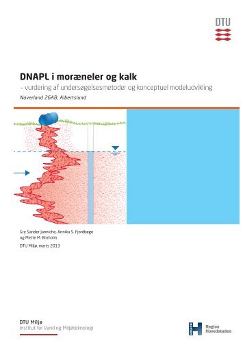 DNAPL i moræneler og kalk - DTU Orbit - Danmarks Tekniske ...