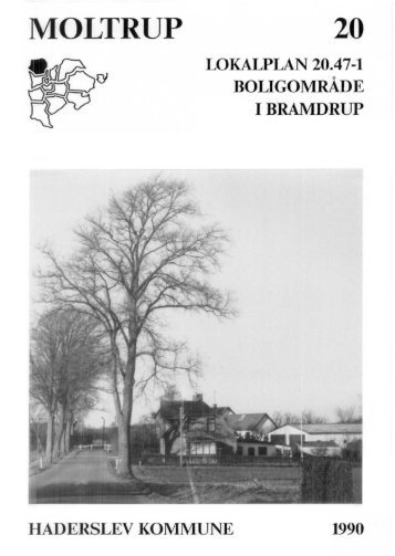 Haderslev Kommune lokalplan nr. 20.47-1 - 16-12-2009
