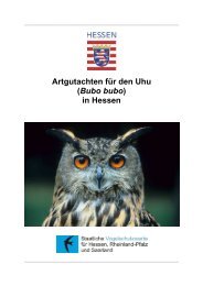 Artgutachten für den Uhu (Bubo bubo) in Hessen - Staatliche ...