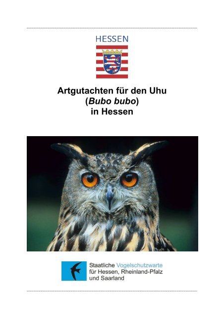 Artgutachten für den Uhu (Bubo bubo) in Hessen - Staatliche ...