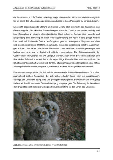 Artgutachten für den Uhu (Bubo bubo) in Hessen - Staatliche ...