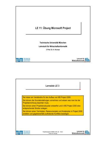 Übung Microsoft Project - Lehrstuhl für Wirtschaftsinformatik