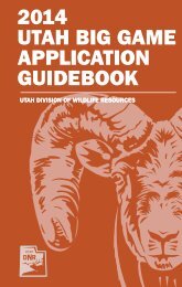 2013 Utah Big Game Application Guidebook - Utah Division of ...