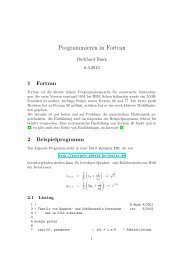 Programmieren in Fortran