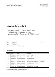 Beschreibung des CSV-Datenimports - IDEV - Statistisches ...