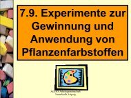 7.9. Experimente zur Gewinnung und Anwendung von ...