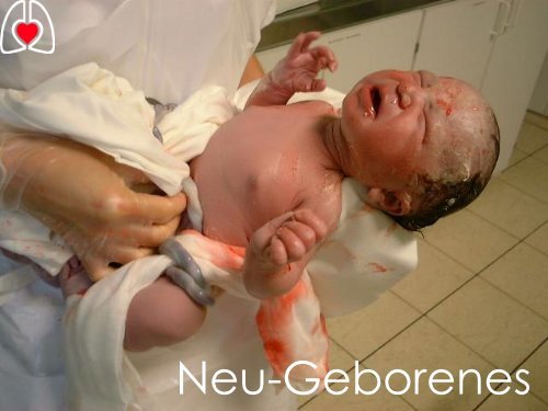 Erstversorgung und Reanimation des Neugeborenen