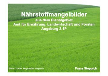 Nährstoffmangelbilder - Amt für Ernährung, Landwirtschaft und ...