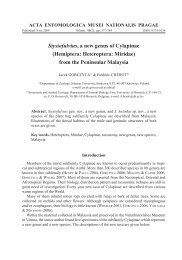 Stysiofulvius, a new genus of Cylapinae - Acta Entomologica Musei ...
