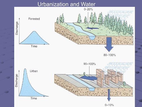 Storm flows and Stream Morphology