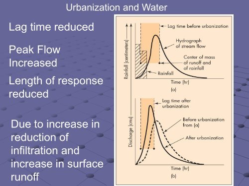 Storm flows and Stream Morphology