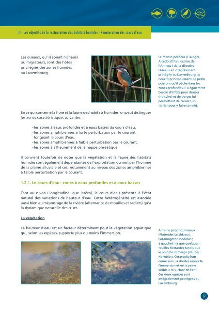 RESTAURATION DES HABITATS HUMIDES ... - Agire