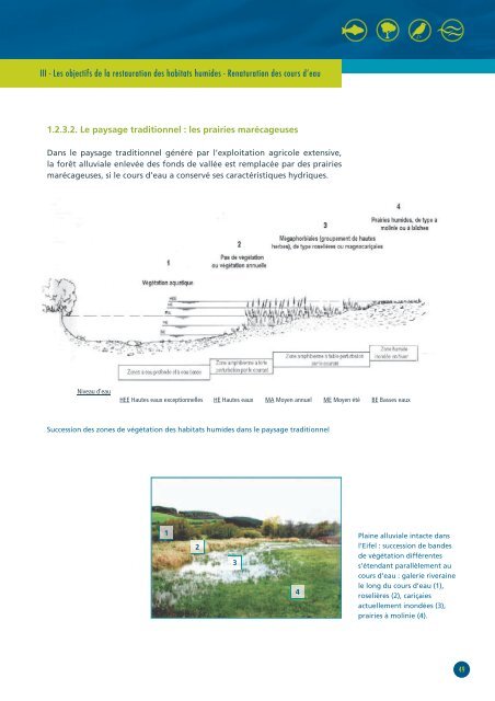 RESTAURATION DES HABITATS HUMIDES ... - Agire