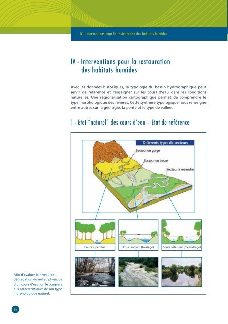 RESTAURATION DES HABITATS HUMIDES ... - Agire