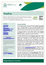 PestFax No.18 06/09/13 - Department of Agriculture and Food - wa ...