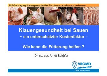 Klauengesundheit bei Sauen