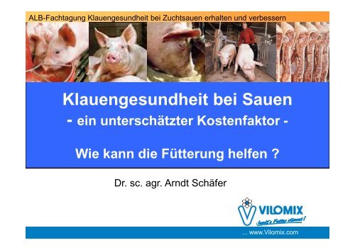 Klauengesundheit bei Sauen