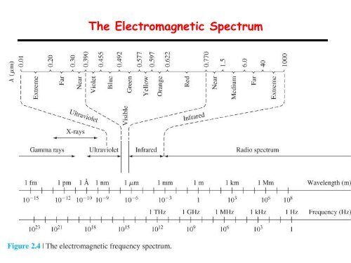 Review of Classical Wave