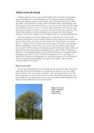 Träd och buskar (pdf, 4.44 MB)