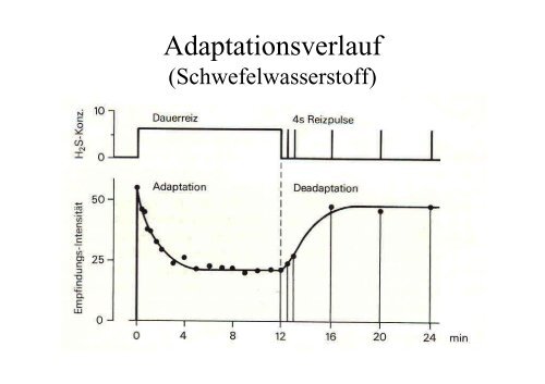 Geruch und Geschmack