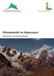 Klimawandel im Alpenraum (PDF)