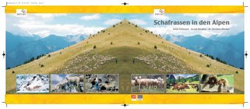 Schafrassen in den Alpen - Alpine-space.org