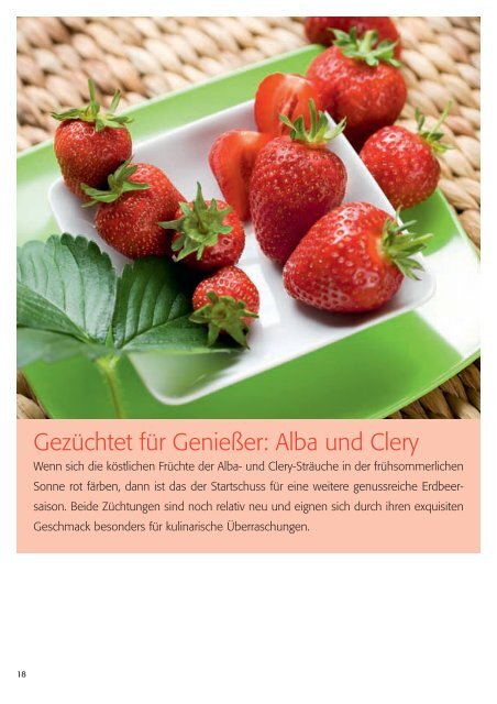 Erdbeeren - AMA-Marketing