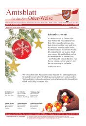 Amtlicher Teil - Amtsblatt vom 06. Dezember 2013 - Amt Oder-Welse