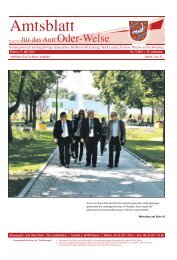 Amtlicher Teil - Amtsblatt vom 05. Juli 2013 - Amt Oder-Welse
