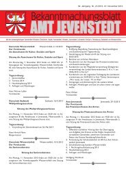 [PDF] Dokument ansehen - Amt Jevenstedt