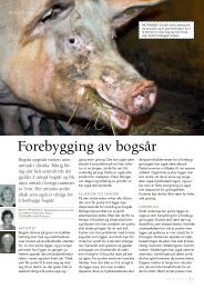 Forebygging av bogsår - Animalia