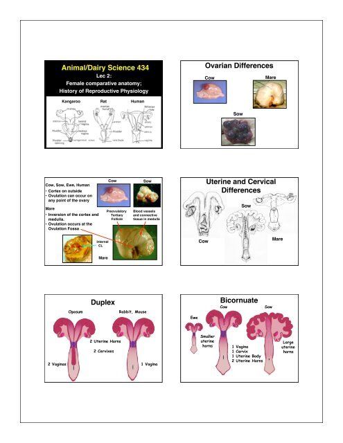 PPT slides handout as PDF - the Department of Animal Sciences