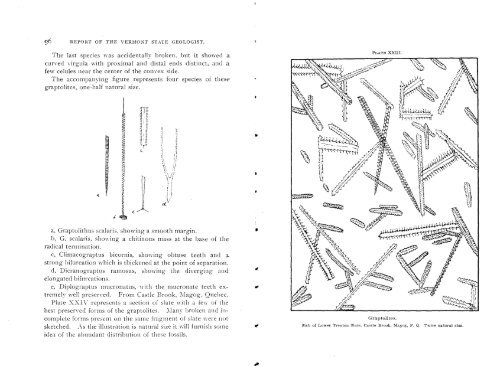 Mineral Industries and Geology of Certain Areas - Vermont Agency ...