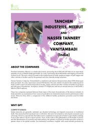 Nasser Tannery Co.& Tanchem Industries - Asian Productivity ...