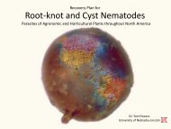 Root-knot and Cyst Nematodes