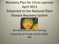 Citrus Leprosis Virus