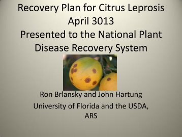 Citrus Leprosis Virus