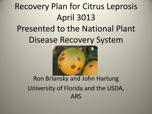 Citrus Leprosis Virus