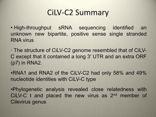 Citrus Leprosis Virus