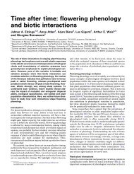 Time after time: flowering phenology and biotic interactions