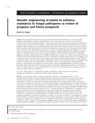 Genetic engineering of plants to enhance resistance to fungal ...