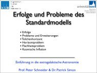 Erfolge und Probleme des Standardmodells