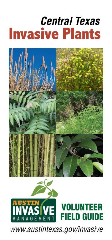 Central Texas Invasive Plants Field Guide - AustinTexas.gov